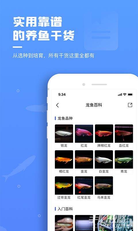 鲲天下