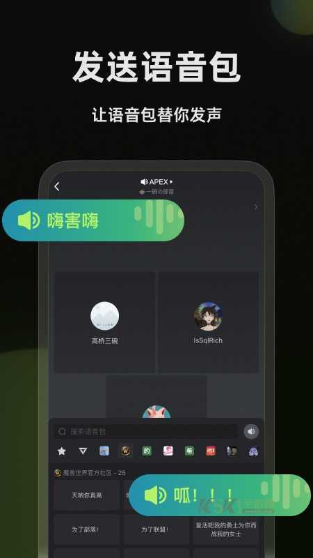 黑盒语音