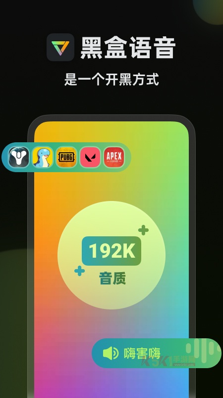 黑盒语音