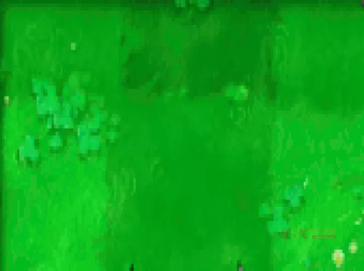 植物大战僵尸重植版_https://m.k5k1.com_战争策略_第17张