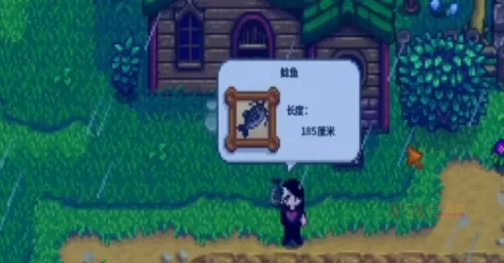 星露谷物语安卓汉化版_https://m.k5k1.com_模拟经营_第11张
