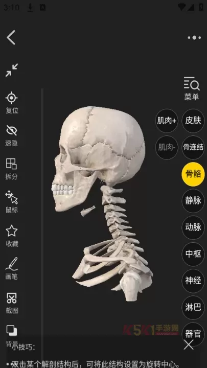 3Dbody官方版_https://m.k5k1.com_生活服务_第4张