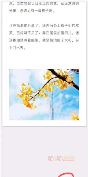 秀米手机版_https://m.k5k1.com_系统工具_第19张